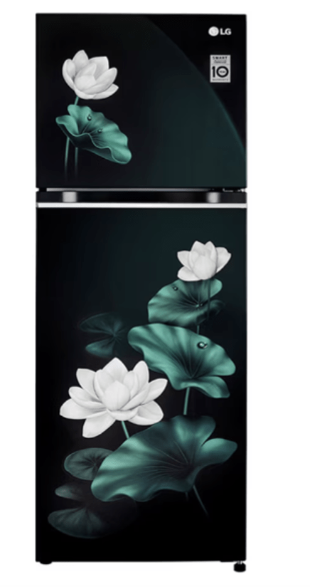 LG 246 L 3 Star GL-S262SELX Frost-Free Double Door Refrigerator